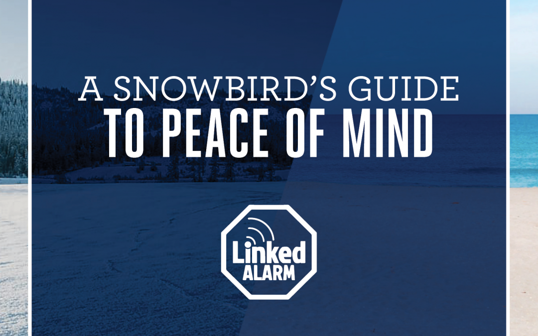 A Snowbird’s Guide to Peace of Mind