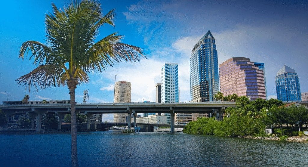 tampa security and fire alarm services linked